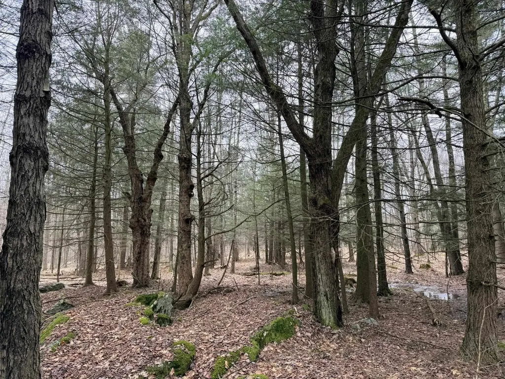 0 Dunton Road Highgate VT 05459