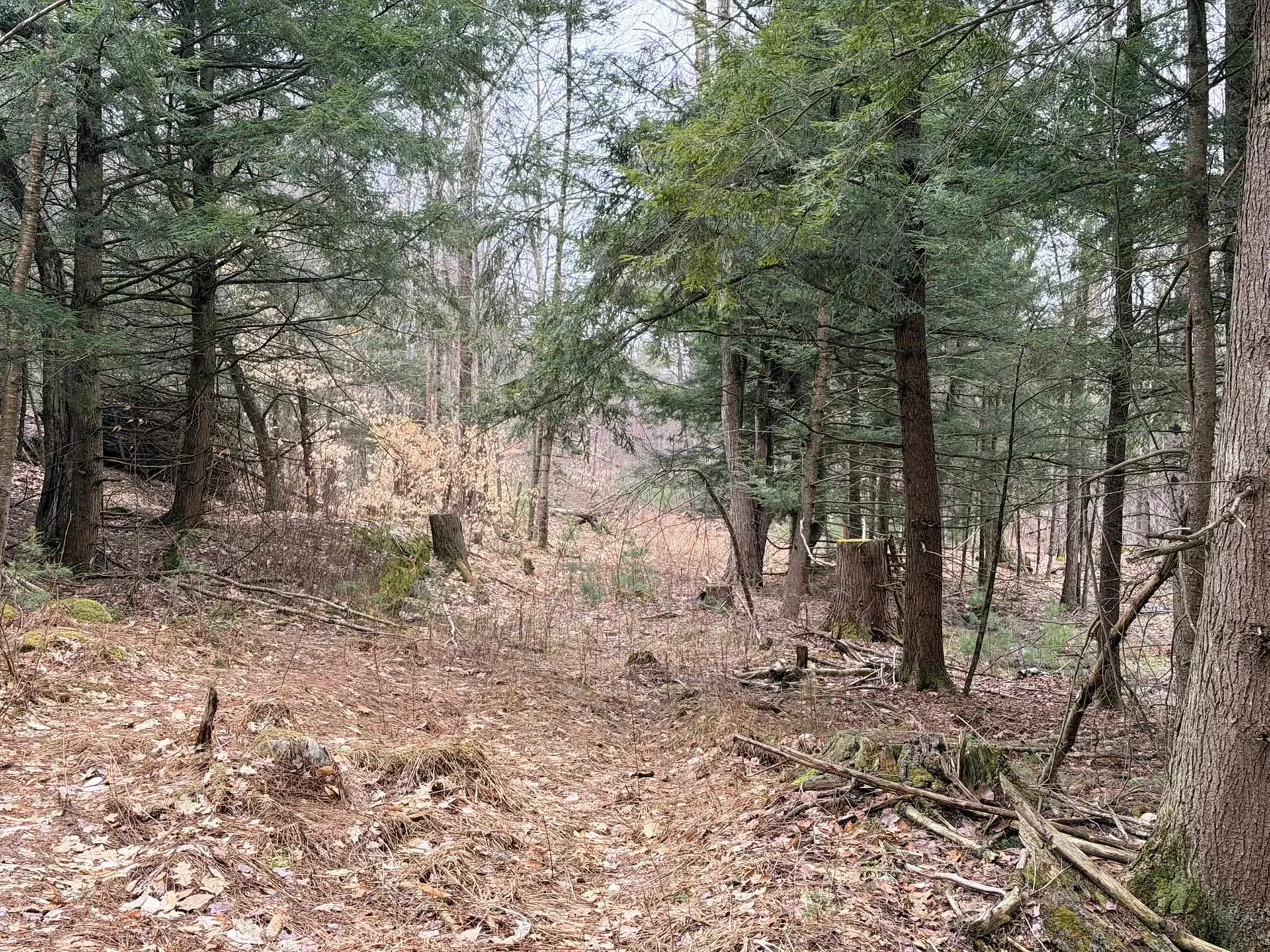 0 Dunton Road Highgate VT 05459