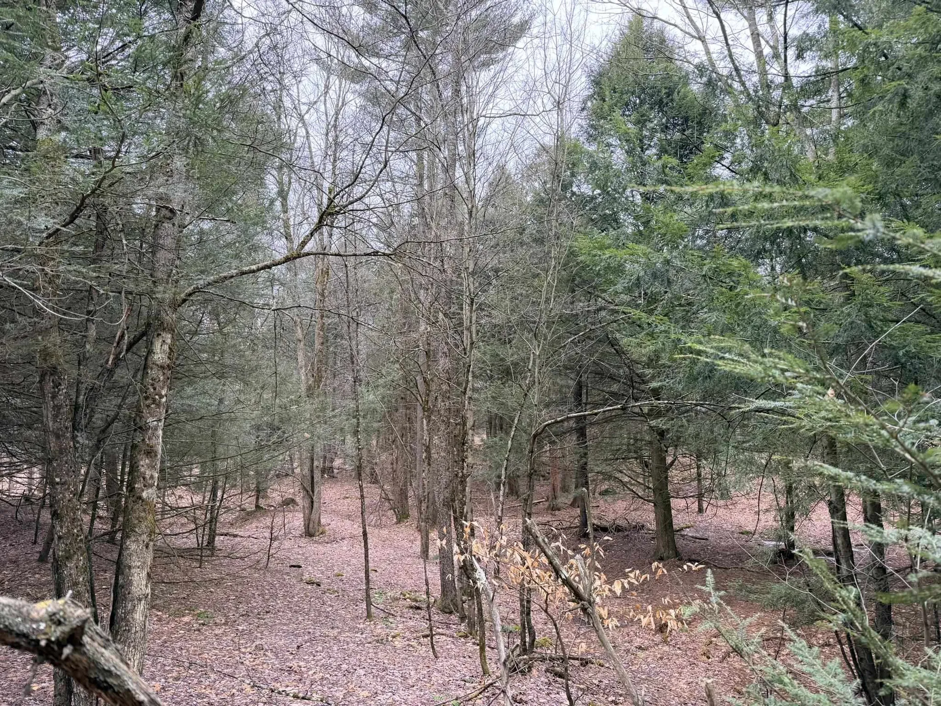 0 Dunton Road Highgate VT 05459