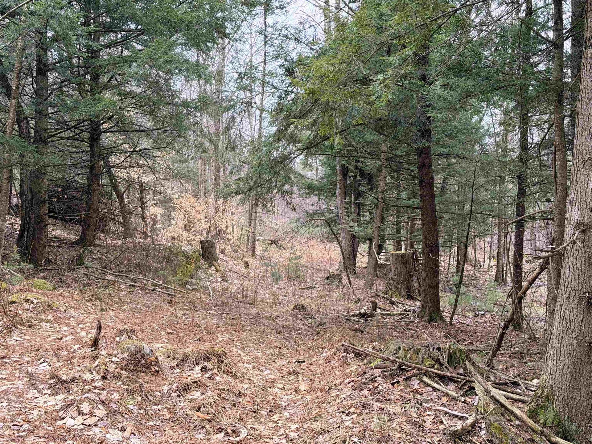 0 Dunton Road Highgate VT 05459