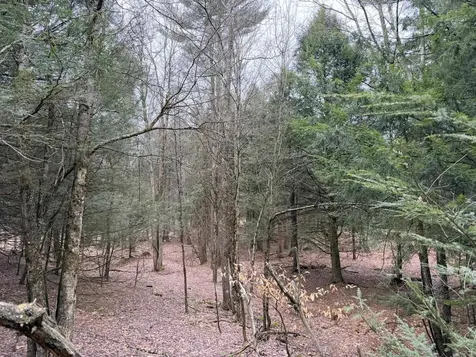 0 Dunton Road Highgate VT 05459