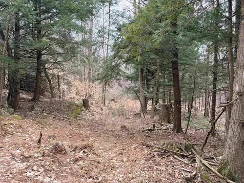 0 Dunton Road Highgate VT 05459