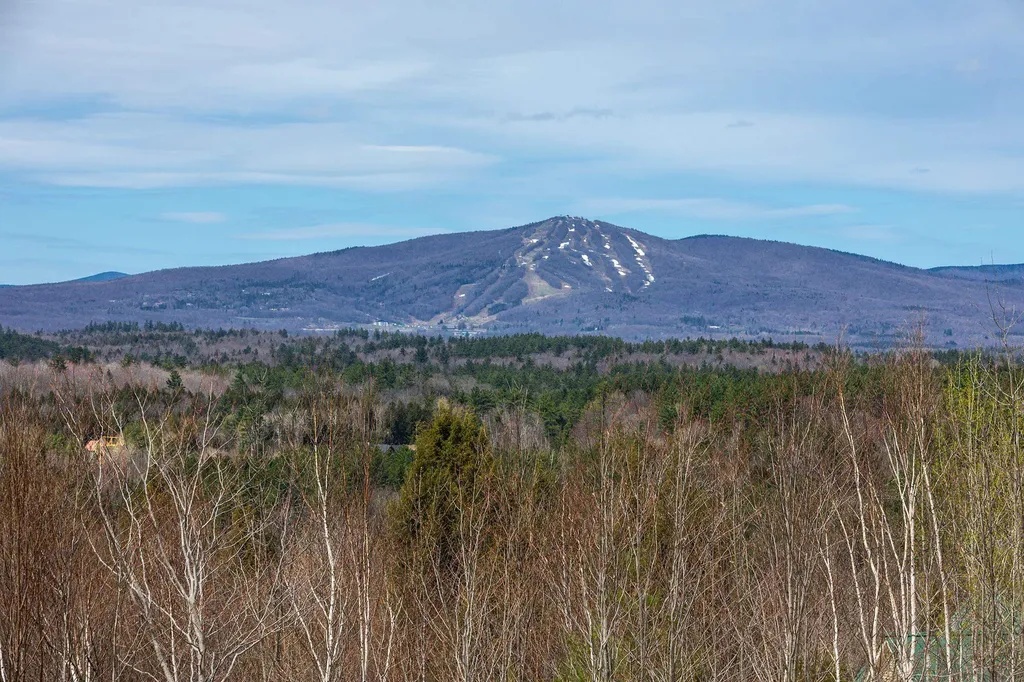 59 Garden Loop Road Winhall VT 05340