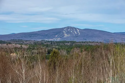 59 Garden Loop Road Winhall VT 05340