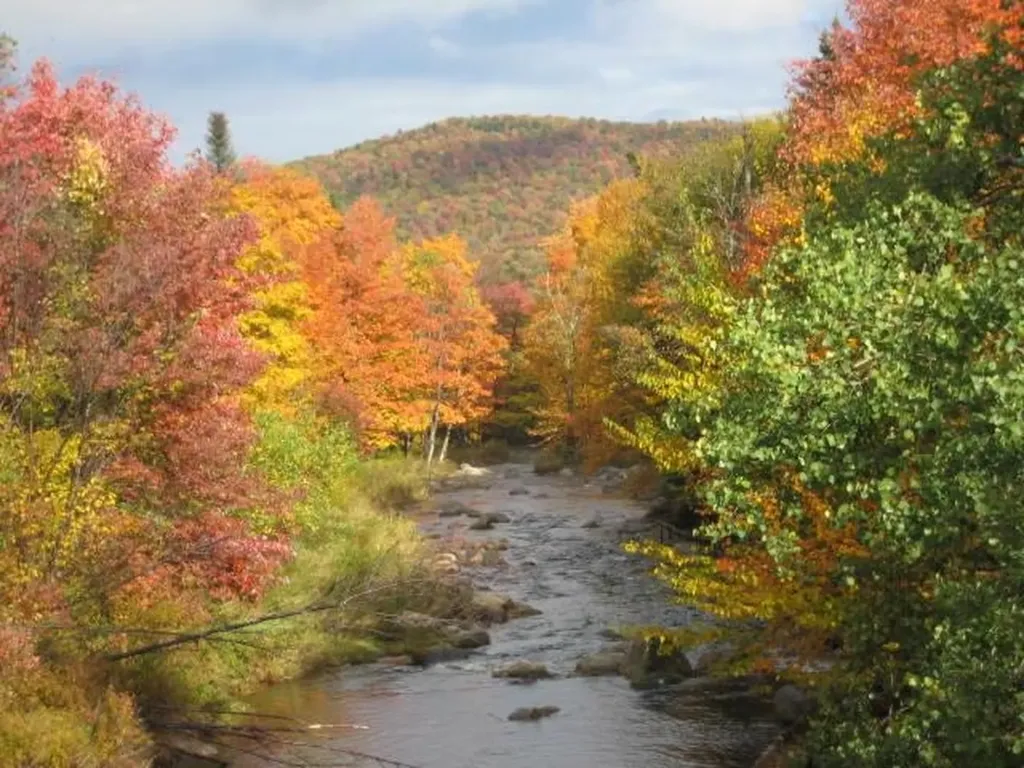 1919 Vt Route 100 Readsboro VT 05350