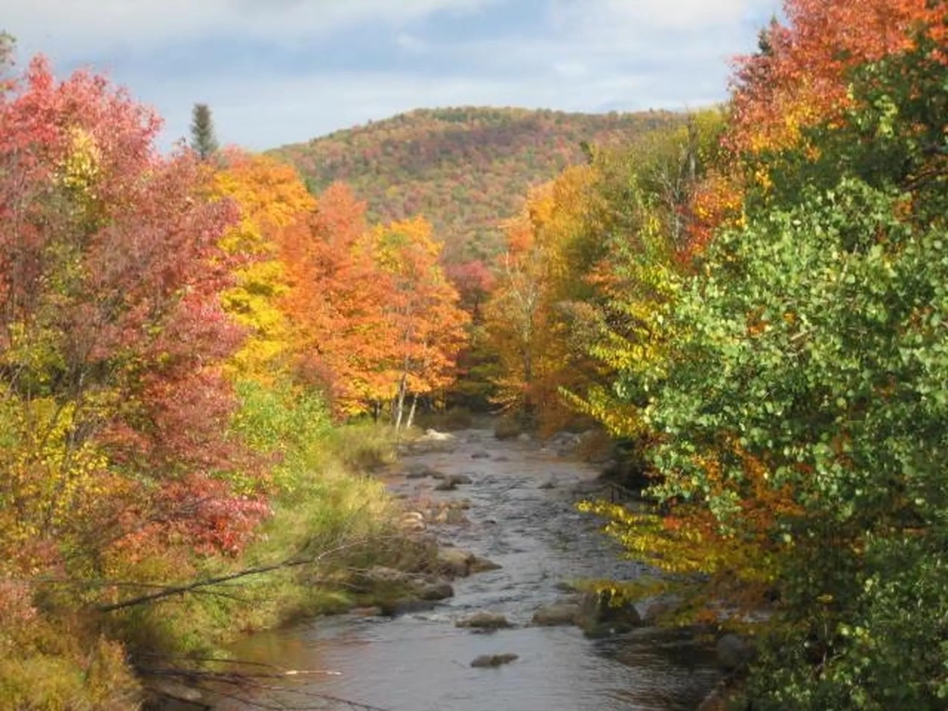 1919 Vt Route 100 Readsboro VT 05350