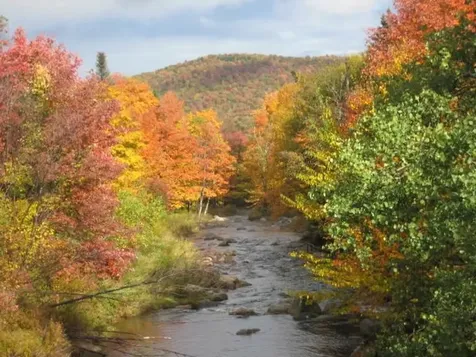 1919 Vt Route 100 Readsboro VT 05350
