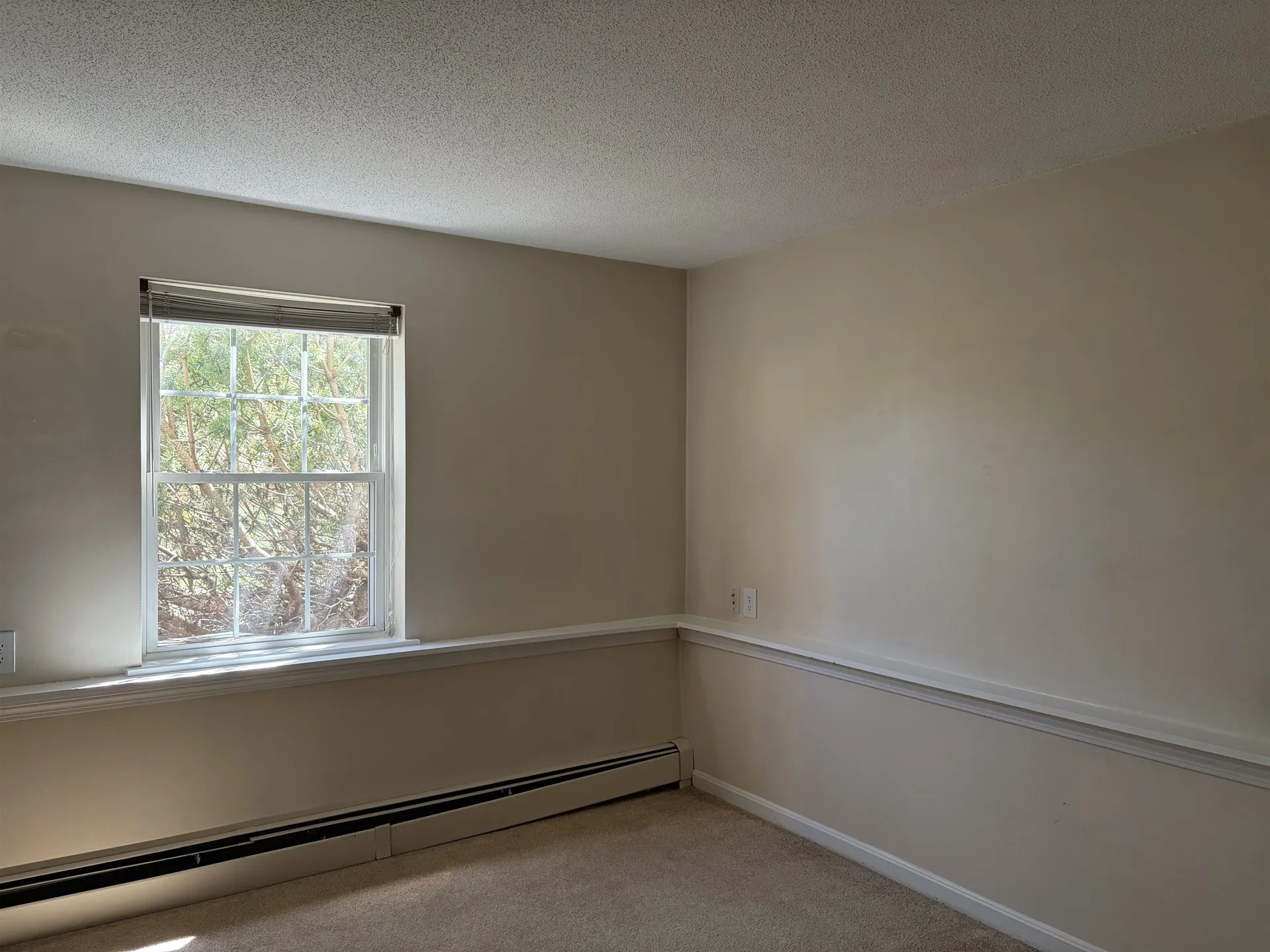 804 White Cedar Boulevard Portsmouth NH 03801