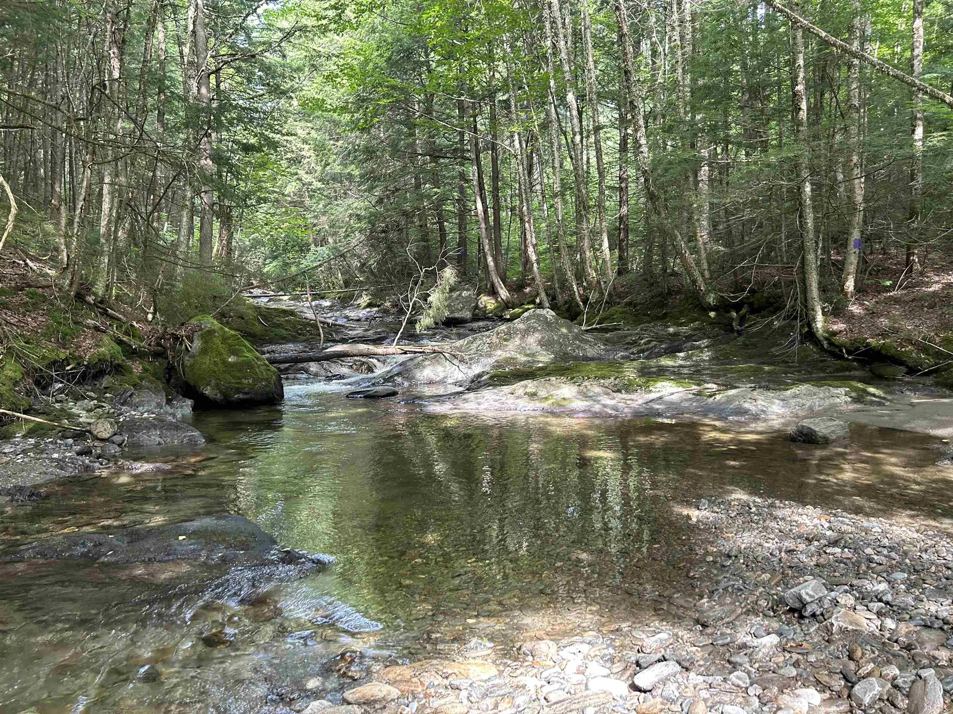 3324 Mud City Loop Morristown VT 05661