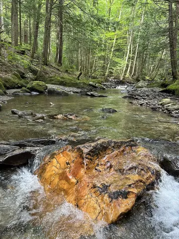 3324 Mud City Loop Morristown VT 05661