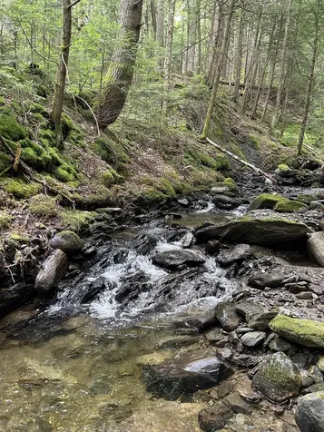3324 Mud City Loop Morristown VT 05661