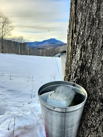 3324 Mud City Loop Morristown VT 05661