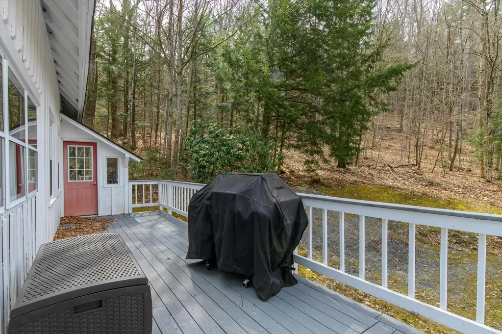 59 Zeller Camp Road Grafton VT 05146