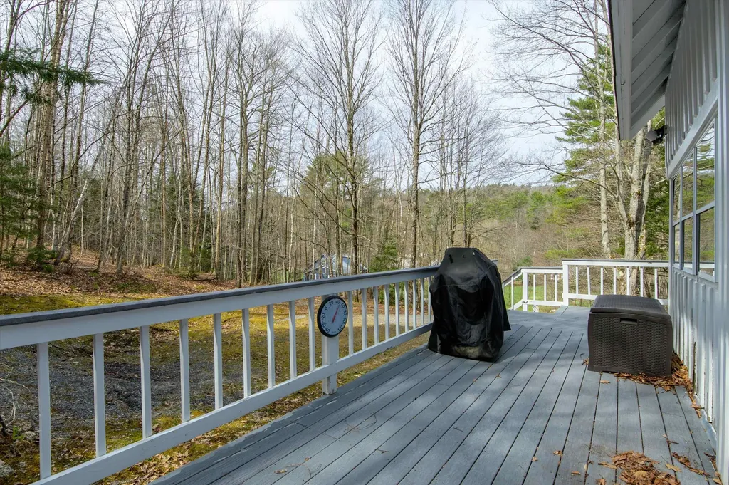 59 Zeller Camp Road Grafton VT 05146