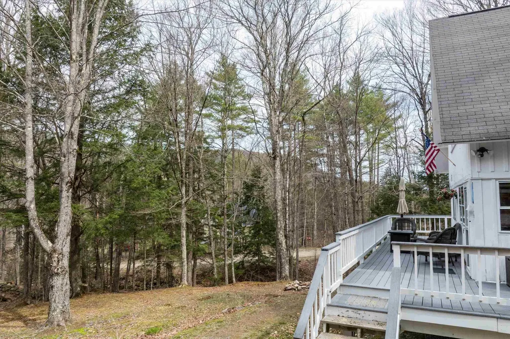 59 Zeller Camp Road Grafton VT 05146