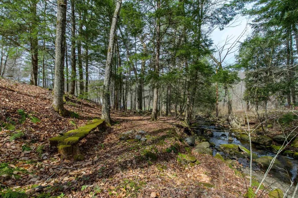 59 Zeller Camp Road Grafton VT 05146