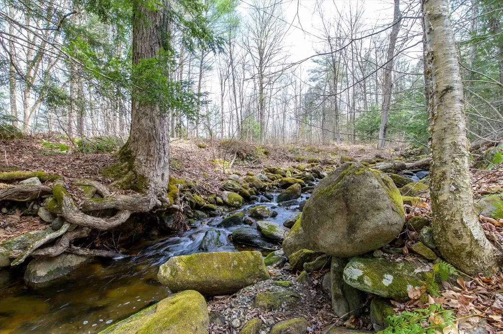 59 Zeller Camp Road Grafton VT 05146