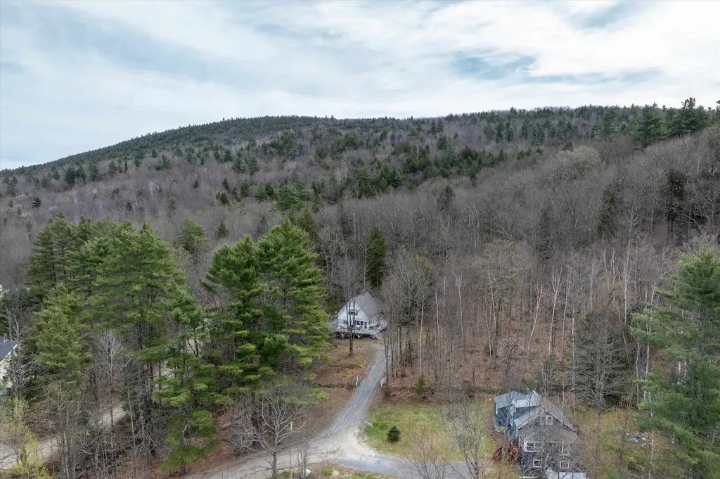 59 Zeller Camp Road Grafton VT 05146