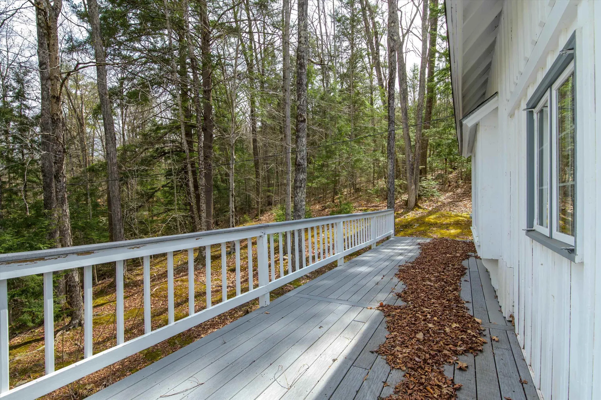 59 Zeller Camp Road Grafton VT 05146
