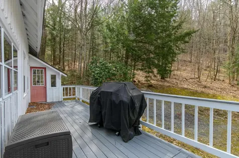 59 Zeller Camp Road Grafton VT 05146