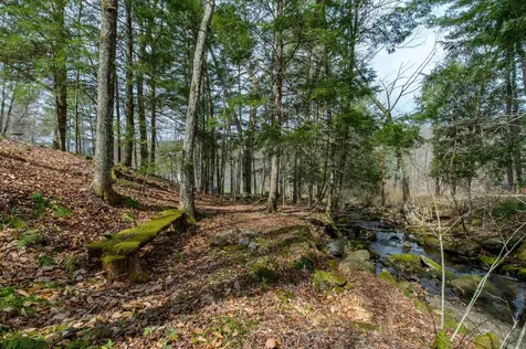 59 Zeller Camp Road Grafton VT 05146