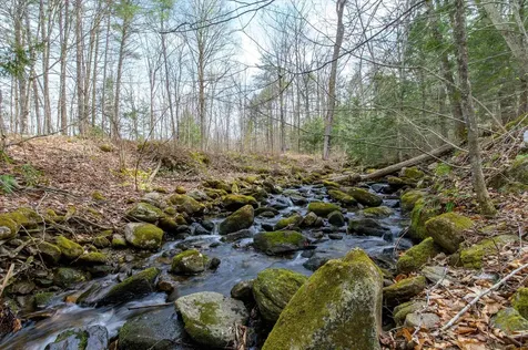 59 Zeller Camp Road Grafton VT 05146
