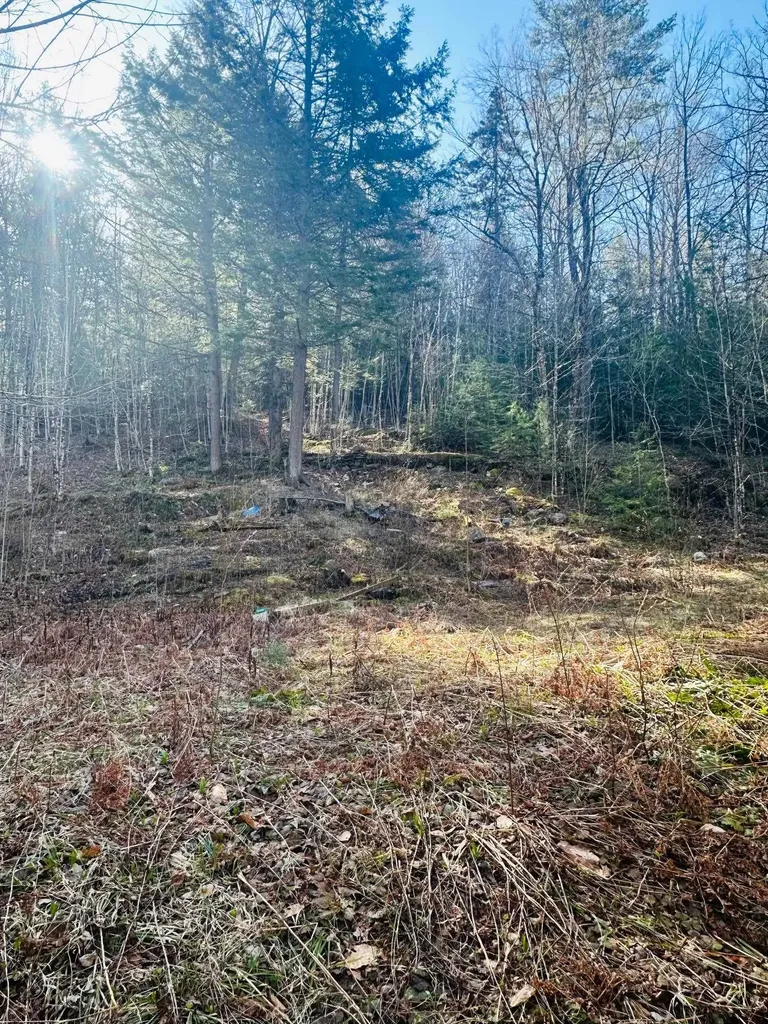 0 Hunter Brook Road Marlboro VT 05344
