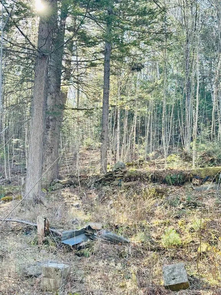 0 Hunter Brook Road Marlboro VT 05344
