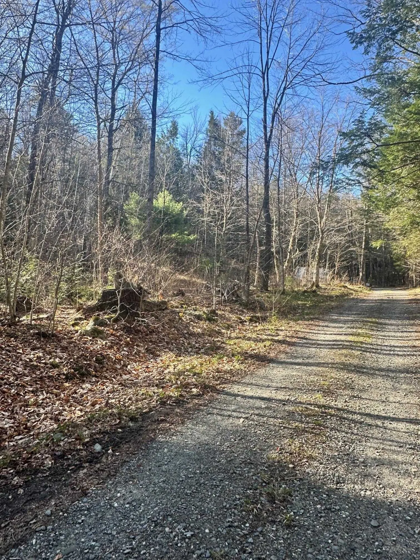 0 Hunter Brook Road Marlboro VT 05344