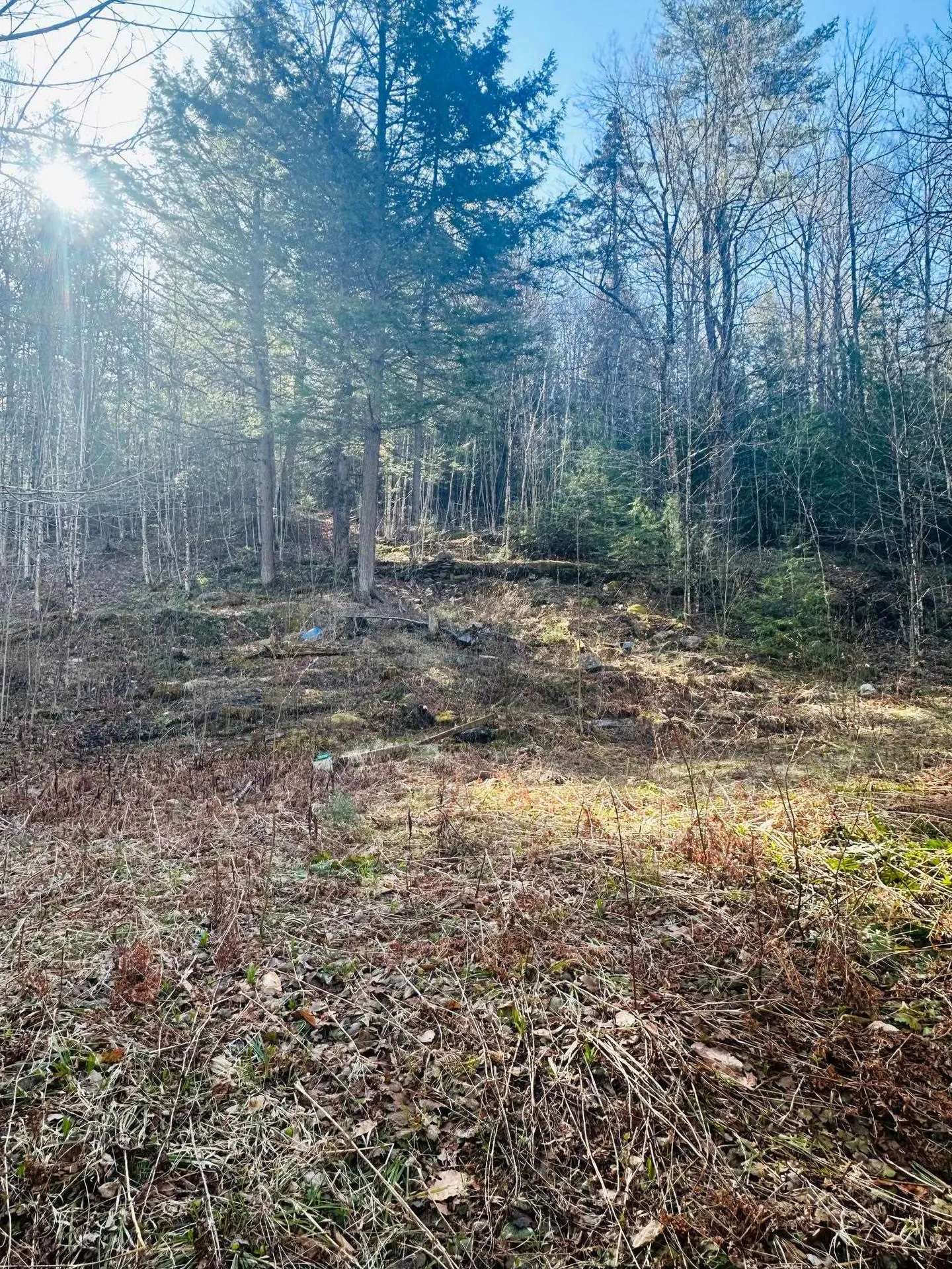 0 Hunter Brook Road Marlboro VT 05344