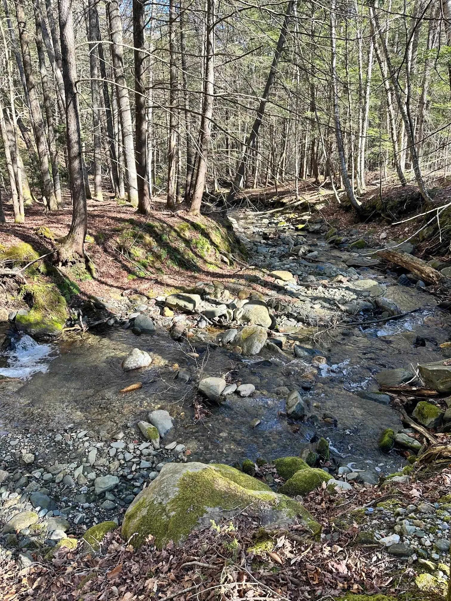 0 Hunter Brook Road Marlboro VT 05344