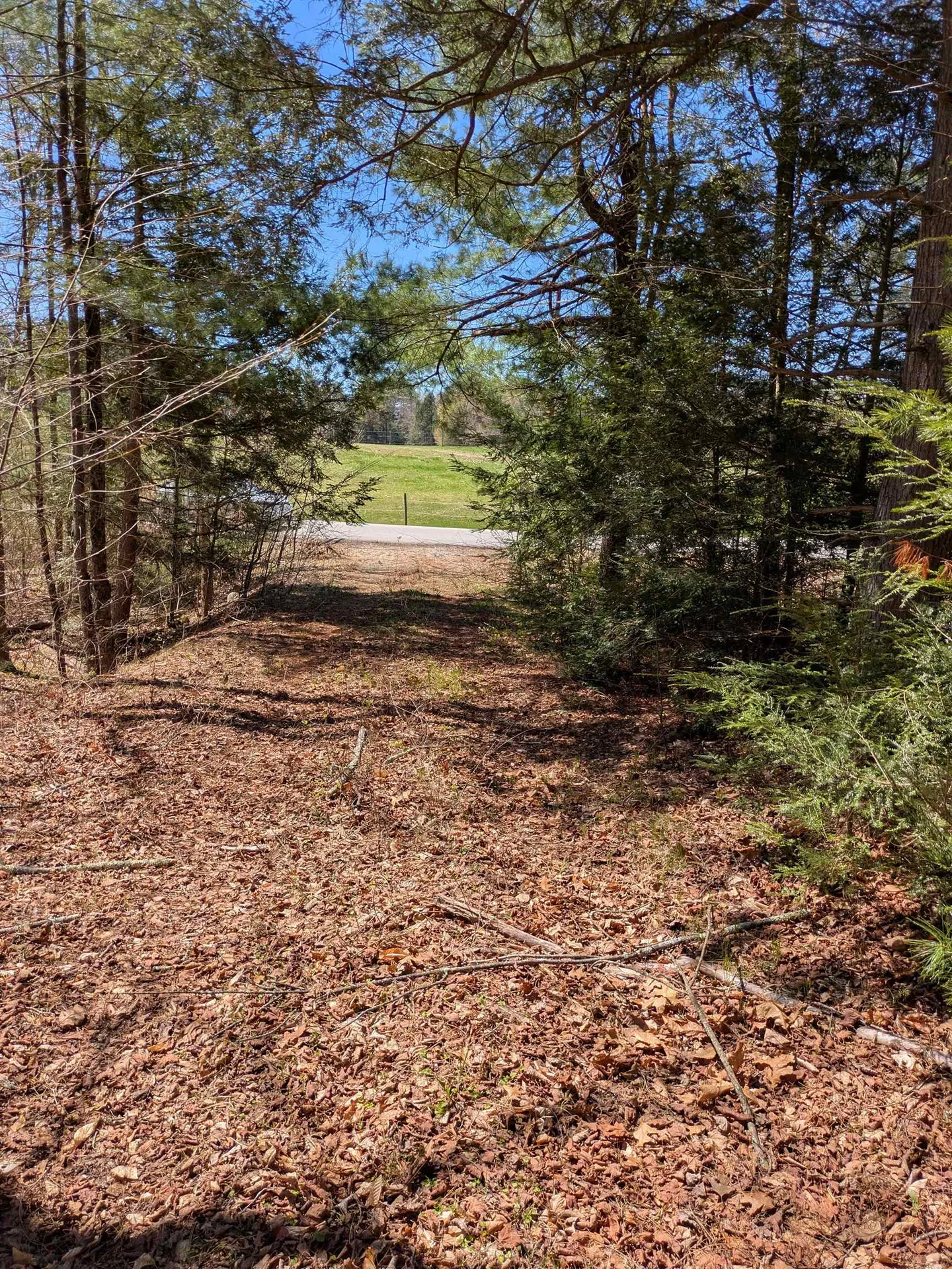 South Scofield Mountain Road Winchester NH 03470