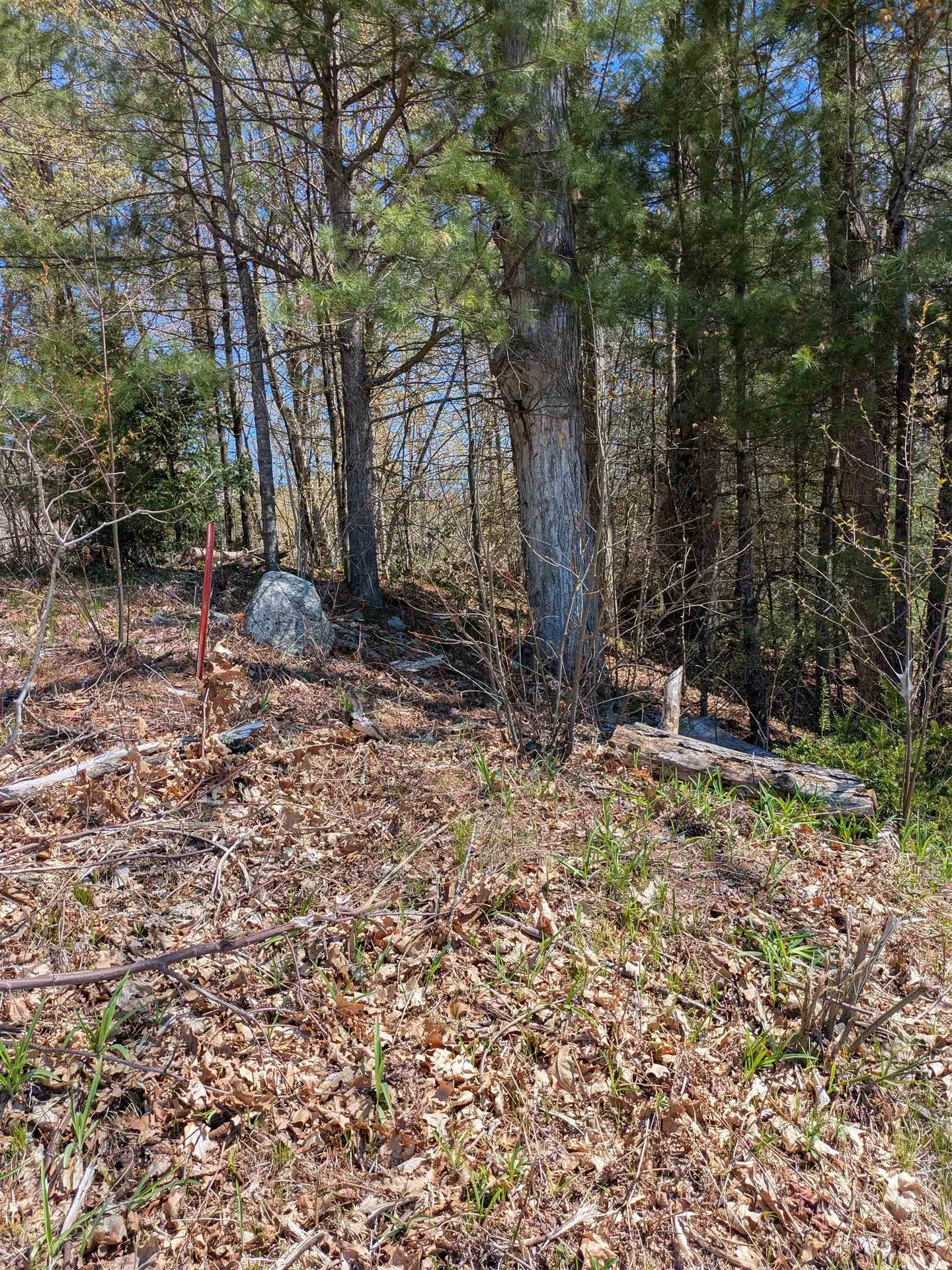 South Scofield Mountain Road Winchester NH 03470