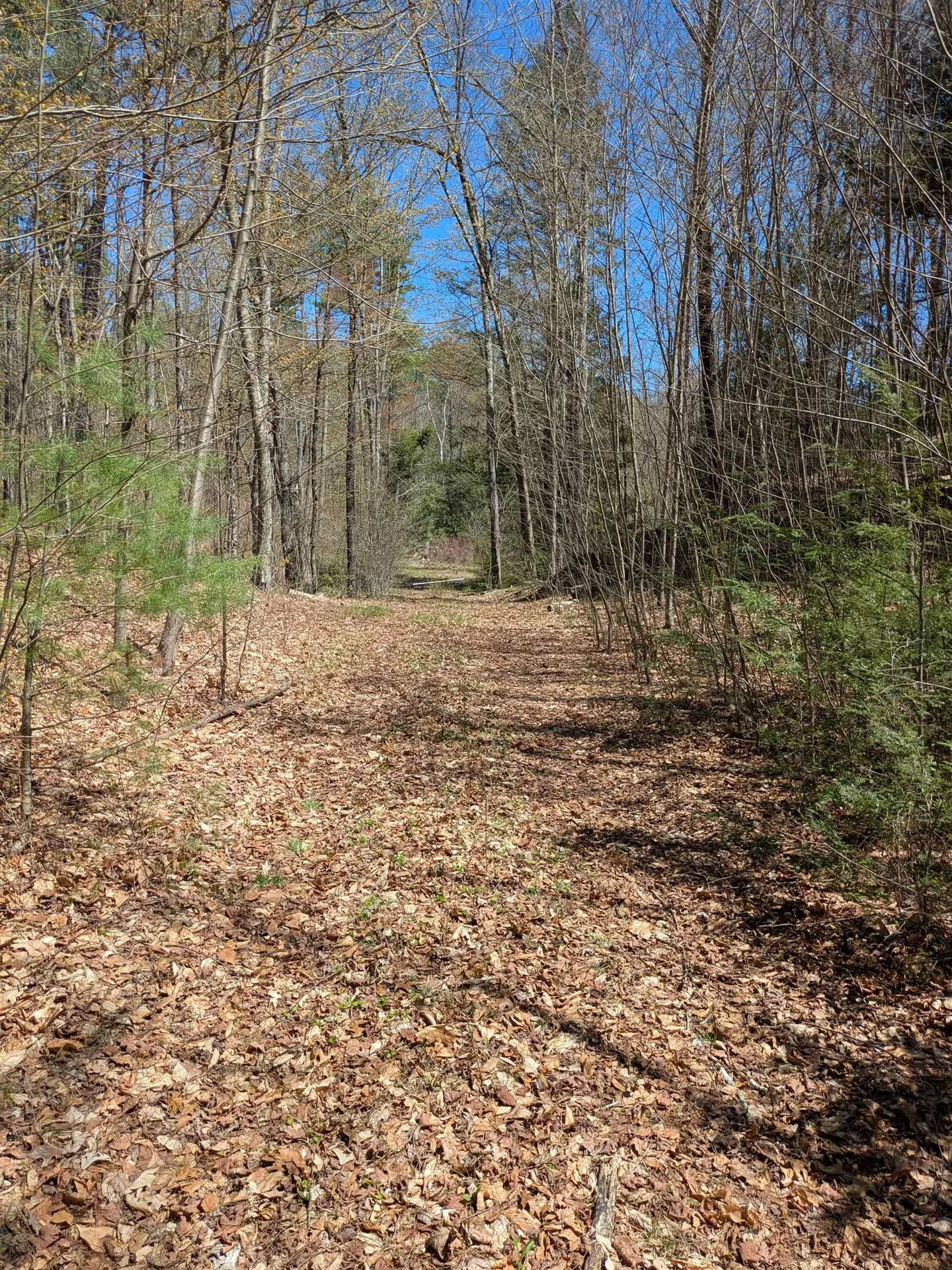South Scofield Mountain Road Winchester NH 03470