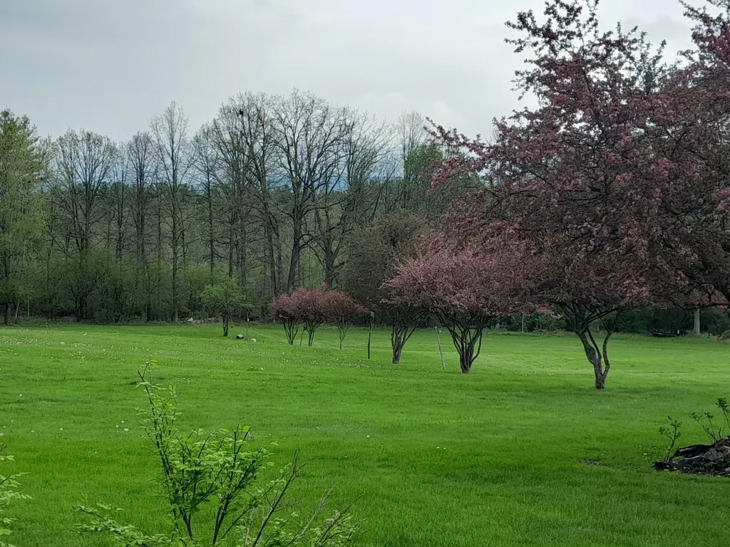 856 Matteson Road Bennington VT 05201