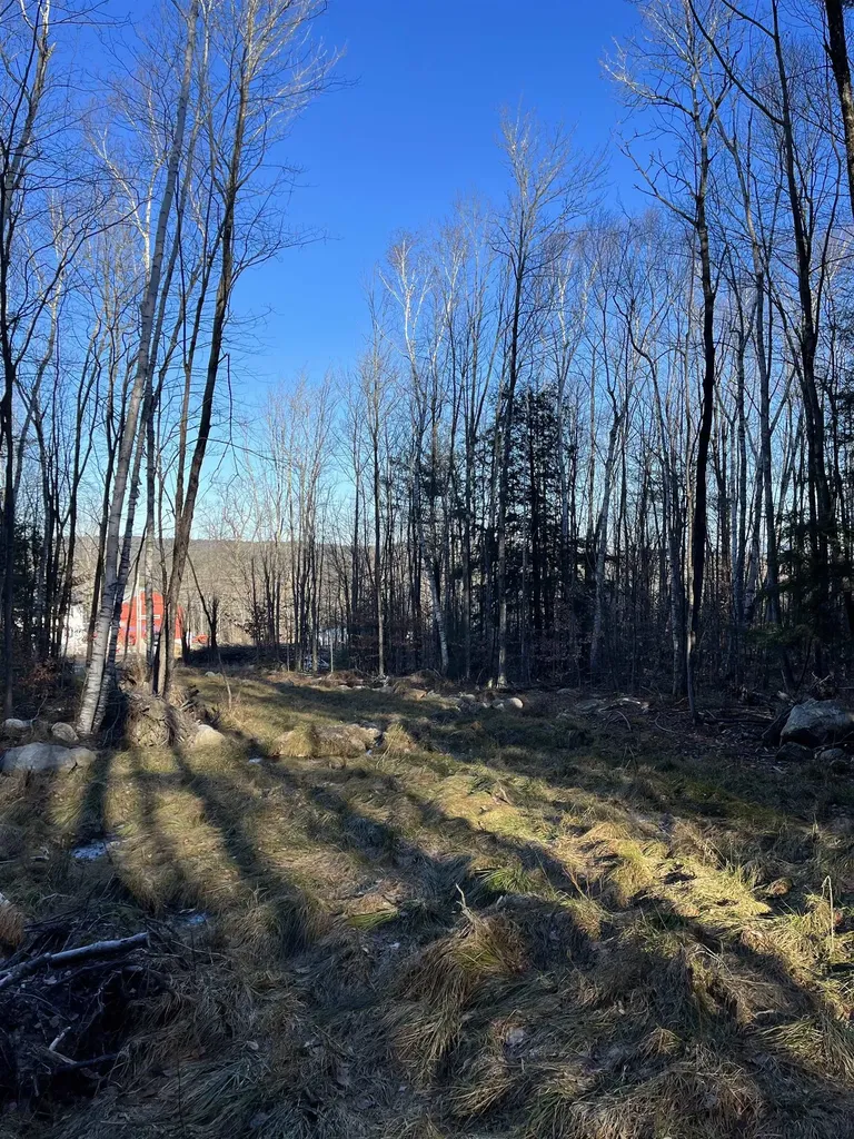 11 Raccoon Hill Road Salisbury NH 03268