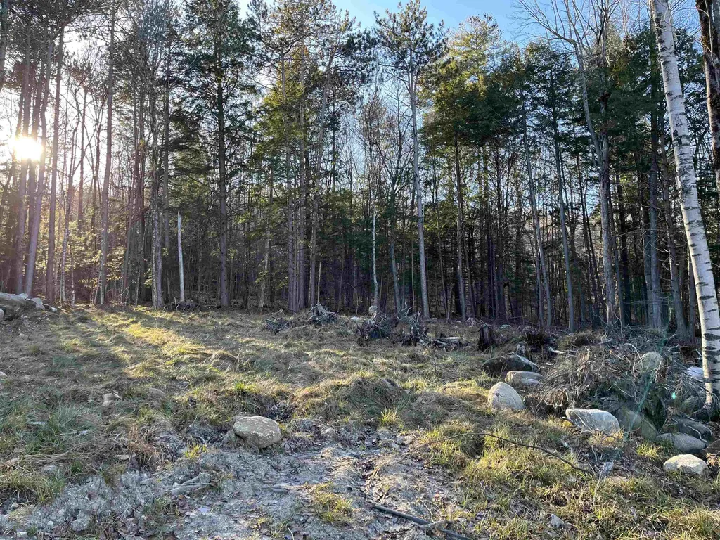 11 Raccoon Hill Road Salisbury NH 03268
