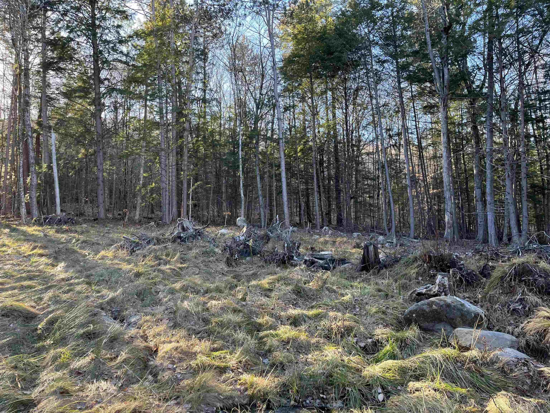 11 Raccoon Hill Road Salisbury NH 03268