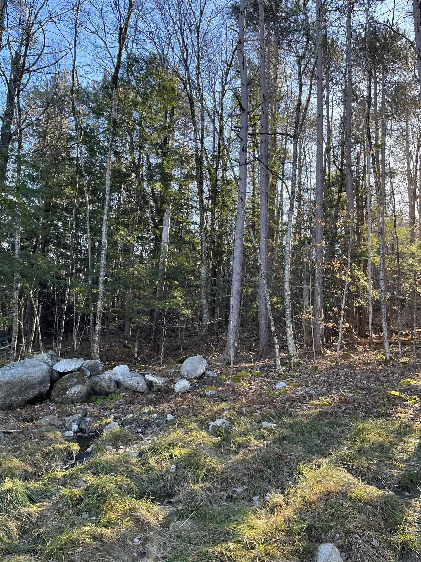 11 Raccoon Hill Road Salisbury NH 03268
