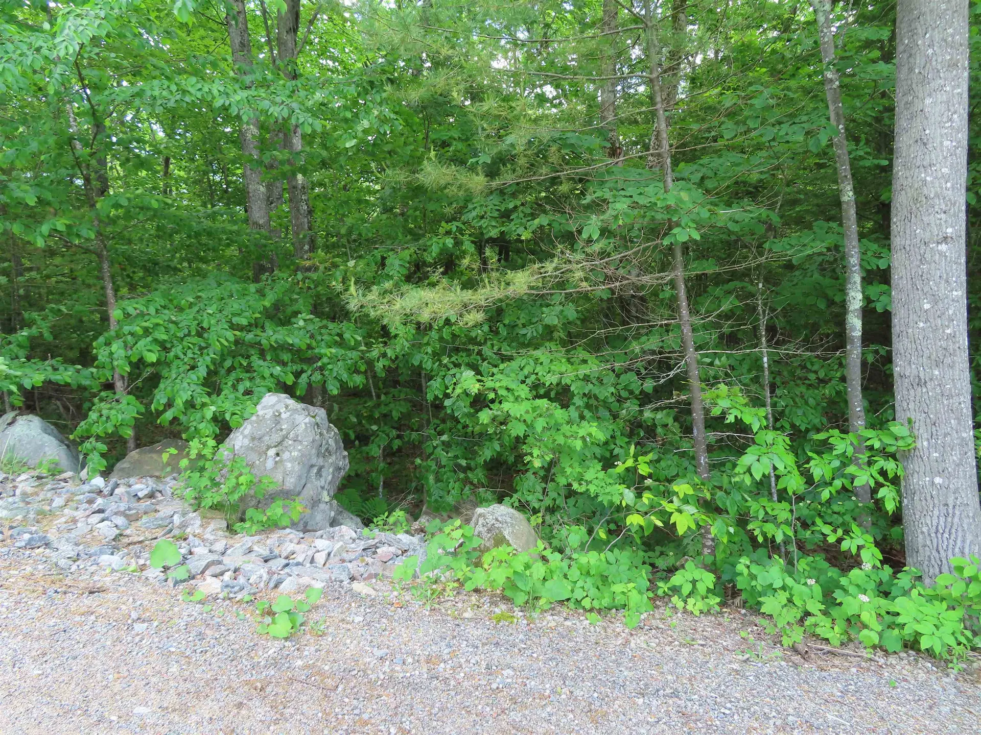Lots 134-135 Wendy Drive Alton NH 03810