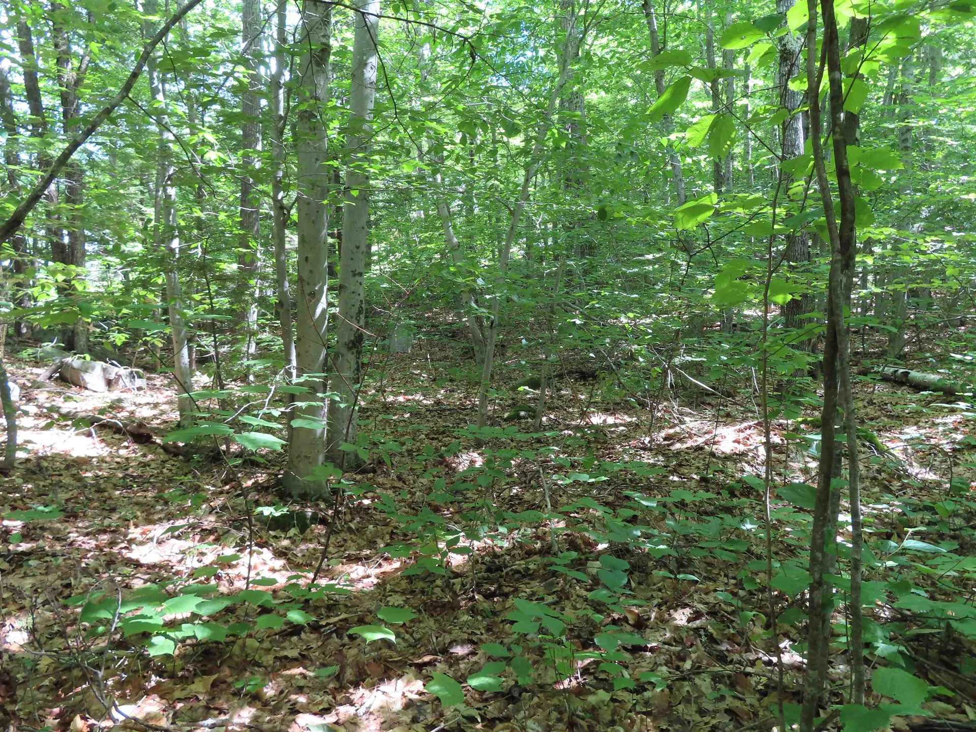 Lots 134-135 Wendy Drive Alton NH 03810