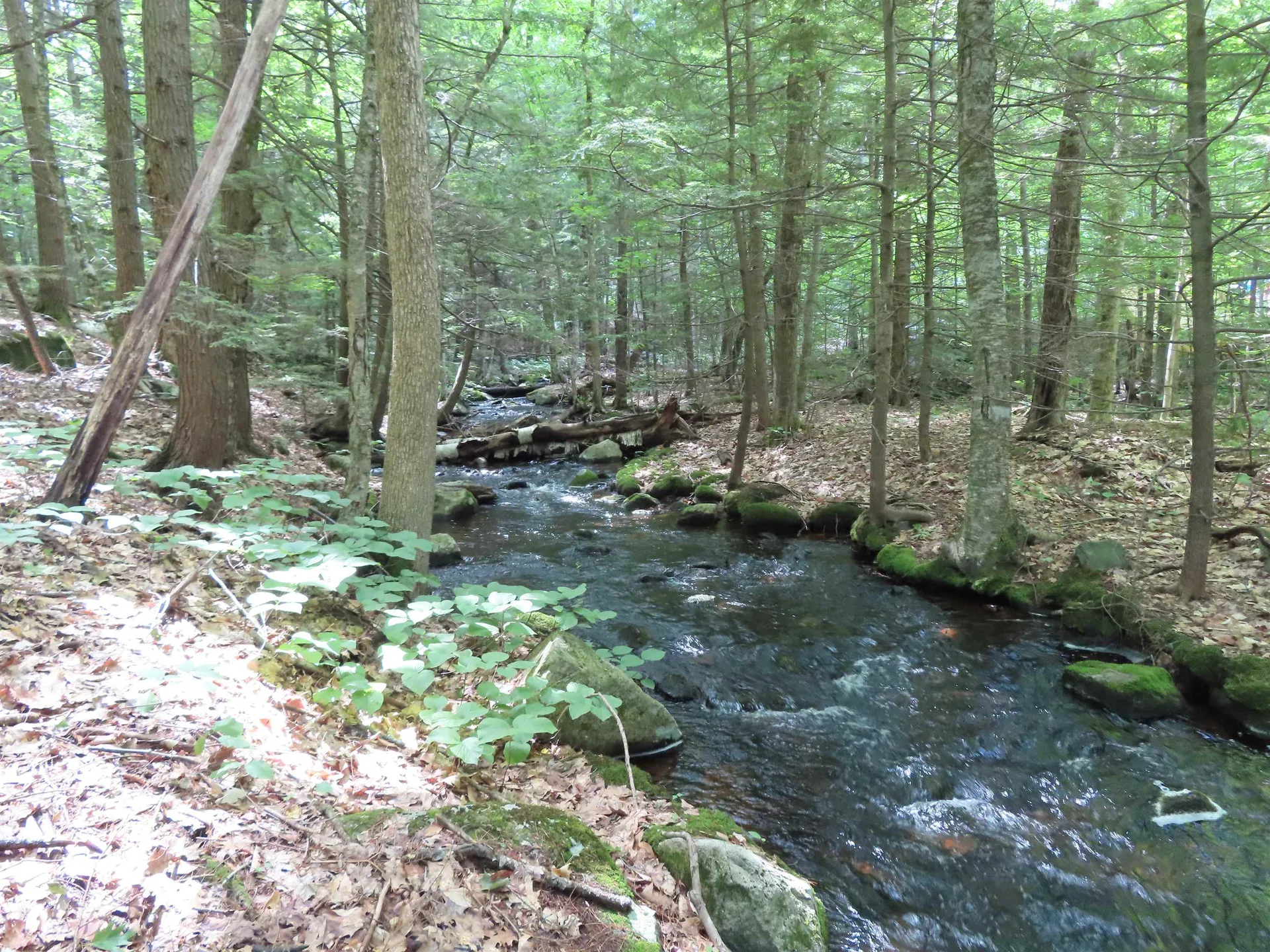 Lots 134-135 Wendy Drive Alton NH 03810