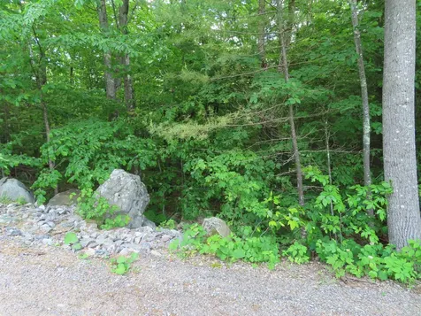 Lots 134-135 Wendy Drive Alton NH 03810