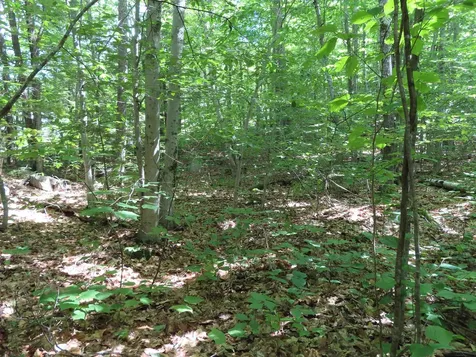 Lots 134-135 Wendy Drive Alton NH 03810