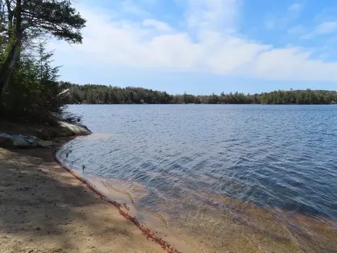 Lots 134-135 Wendy Drive Alton NH 03810