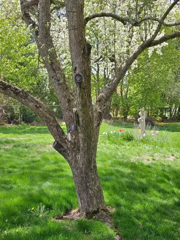 2 Shirley Lane Stratham NH 03885
