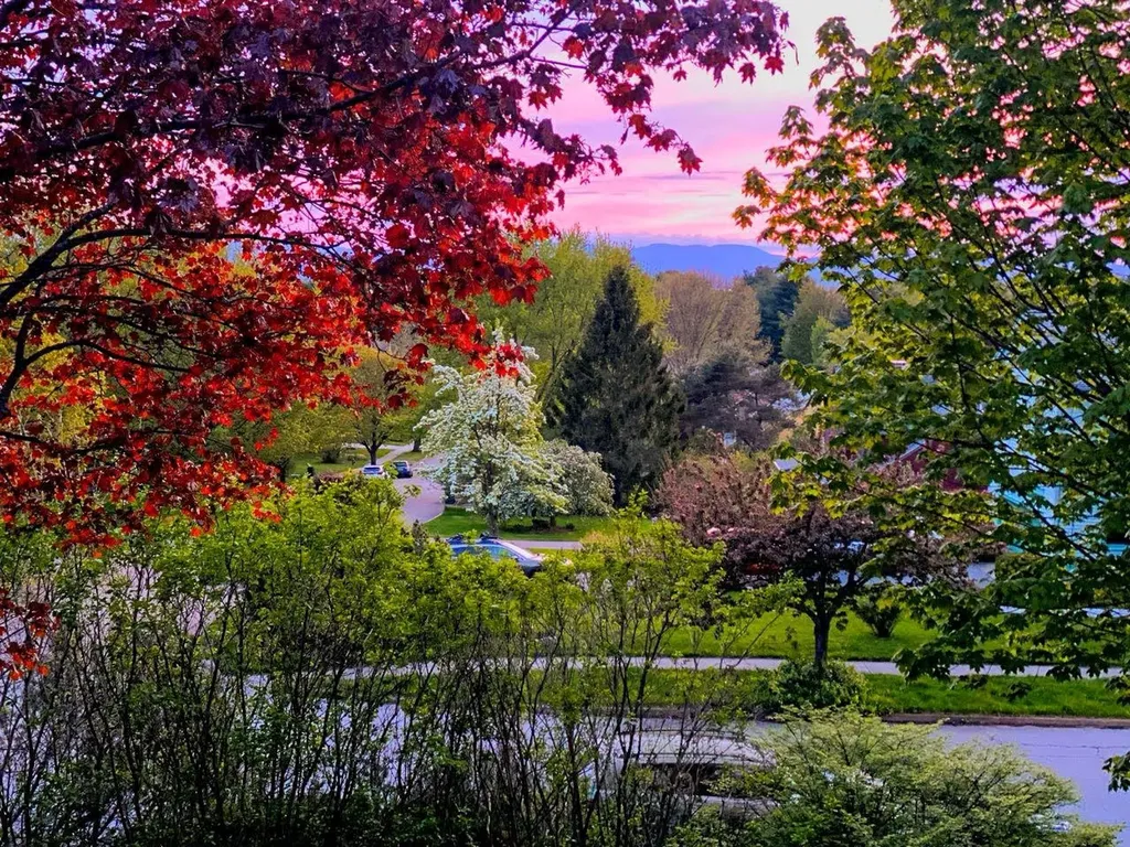 5 Harbor Ridge Road South Burlington VT 05403