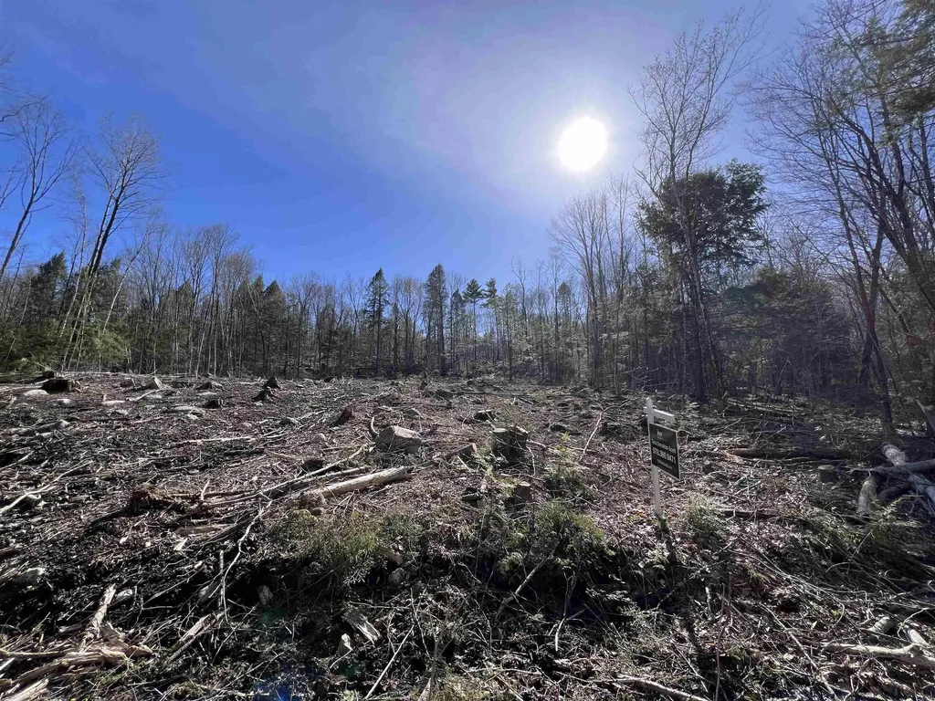 Lot 14 Northeast Pond Road Milton NH 03851