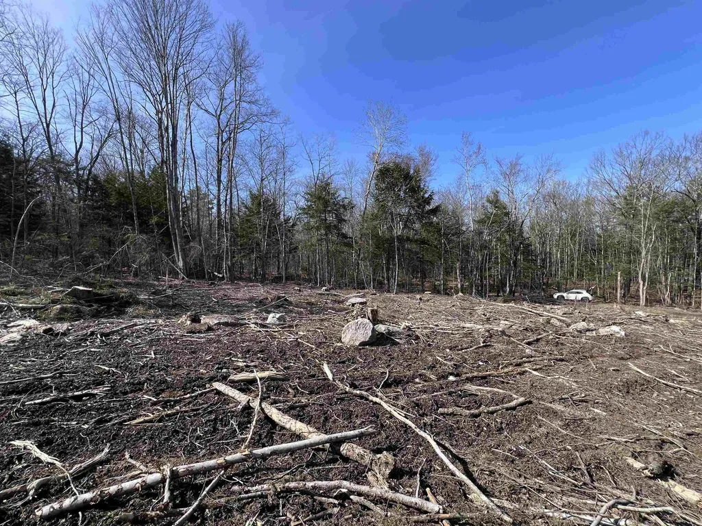 Lot 14 Northeast Pond Road Milton NH 03851