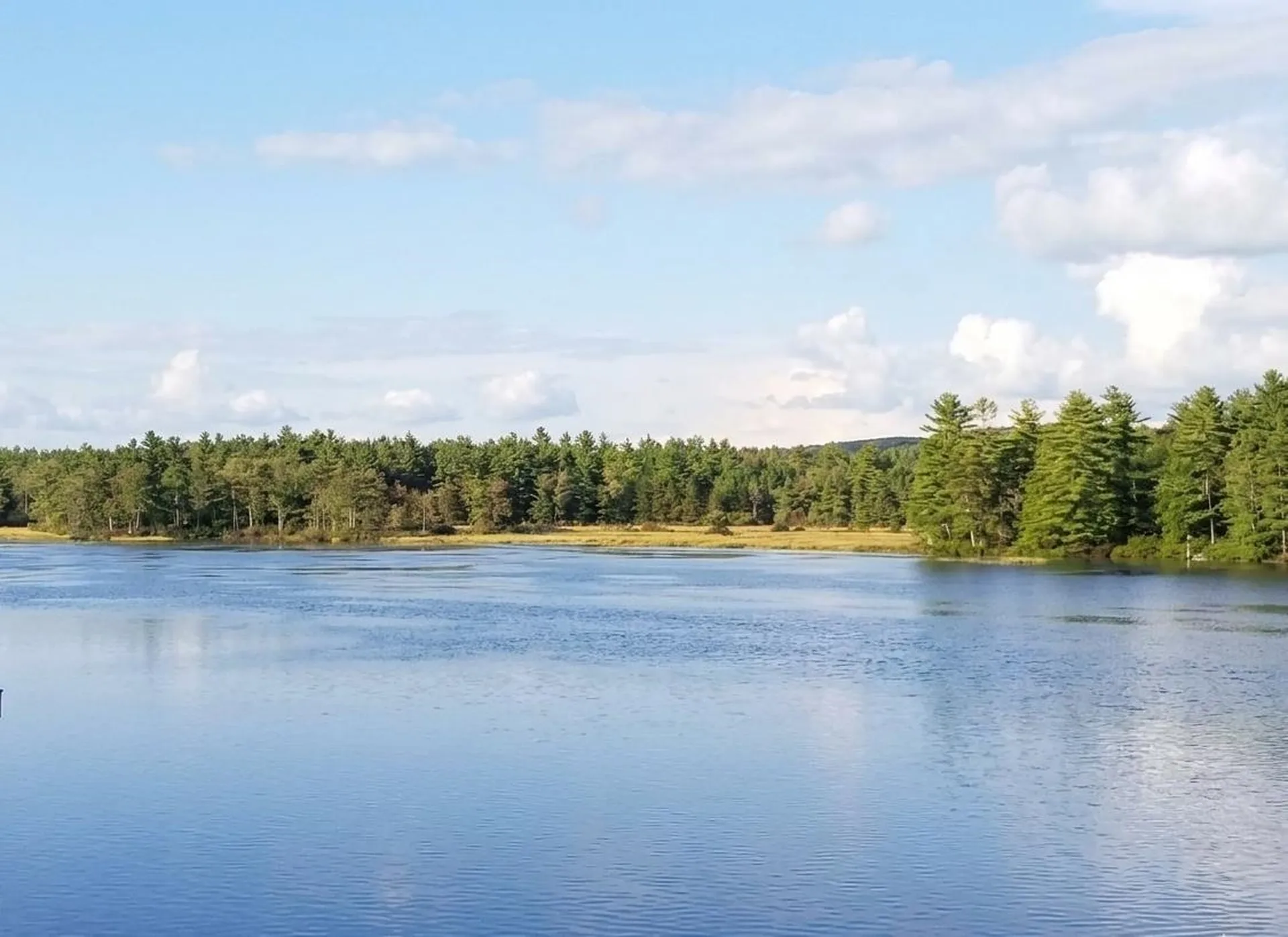 Lot 14 Northeast Pond Road Milton NH 03851